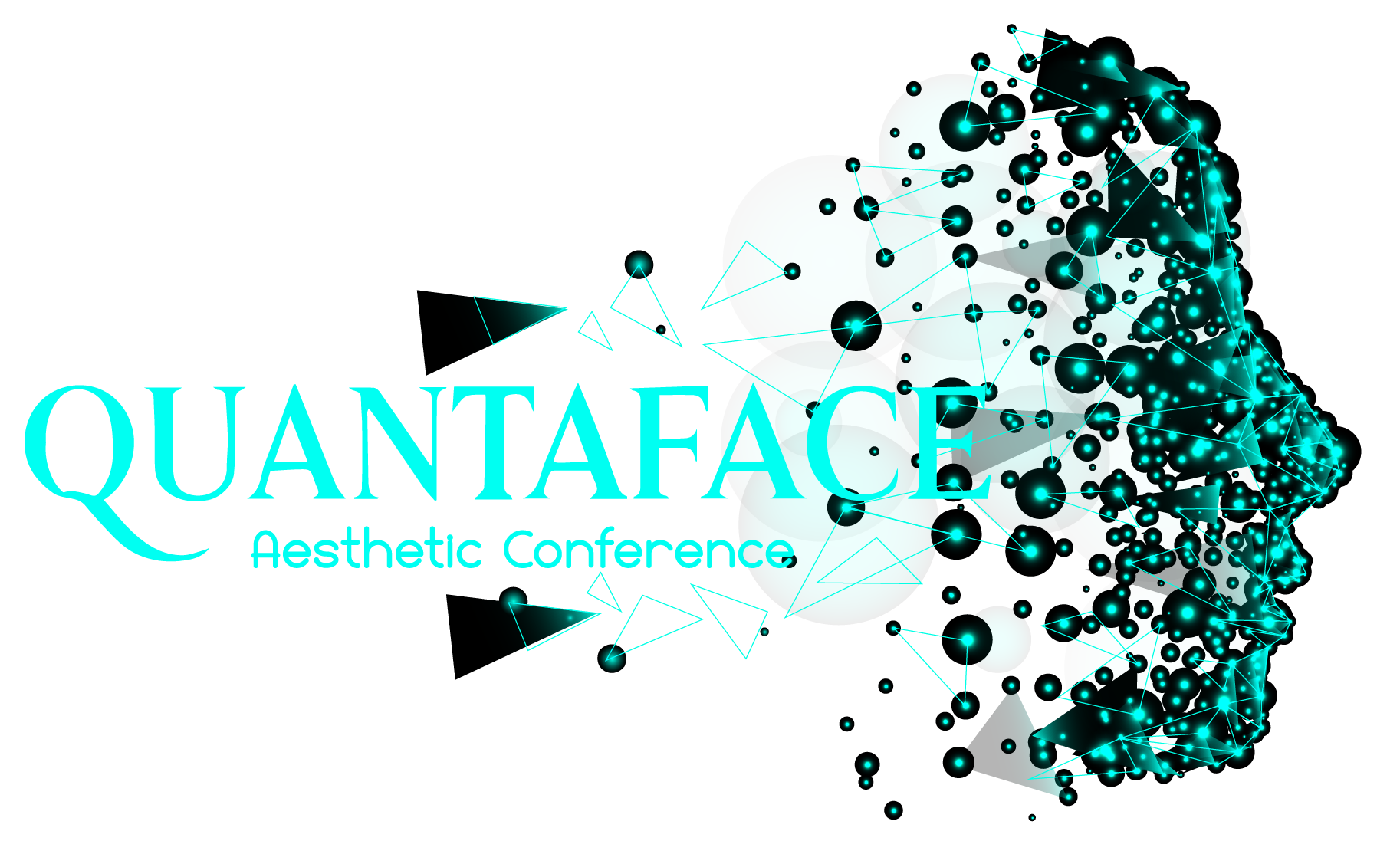 quantaface